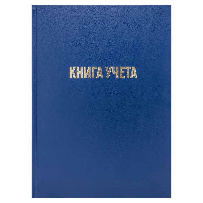 Книга учета, 96л, А4, твердый переплет, клетка. 200290мм, бумвинил, цвет синий, блок офсетный.